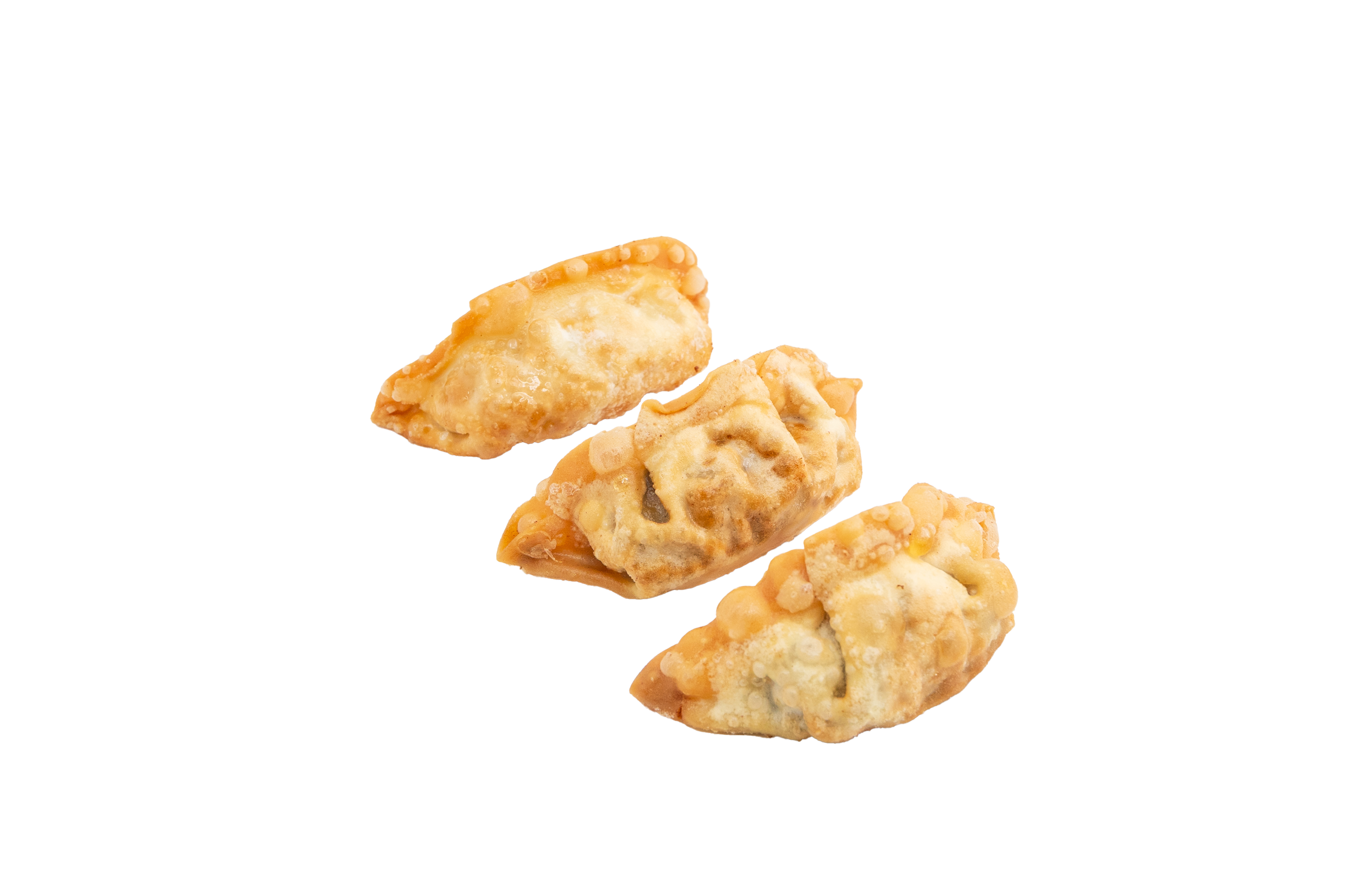 08- Ravioli di verdure fritti -5pz