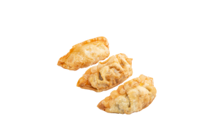 08- Ravioli di verdure fritti -5pz