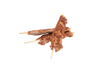 220 - Salsiccia alla griglia