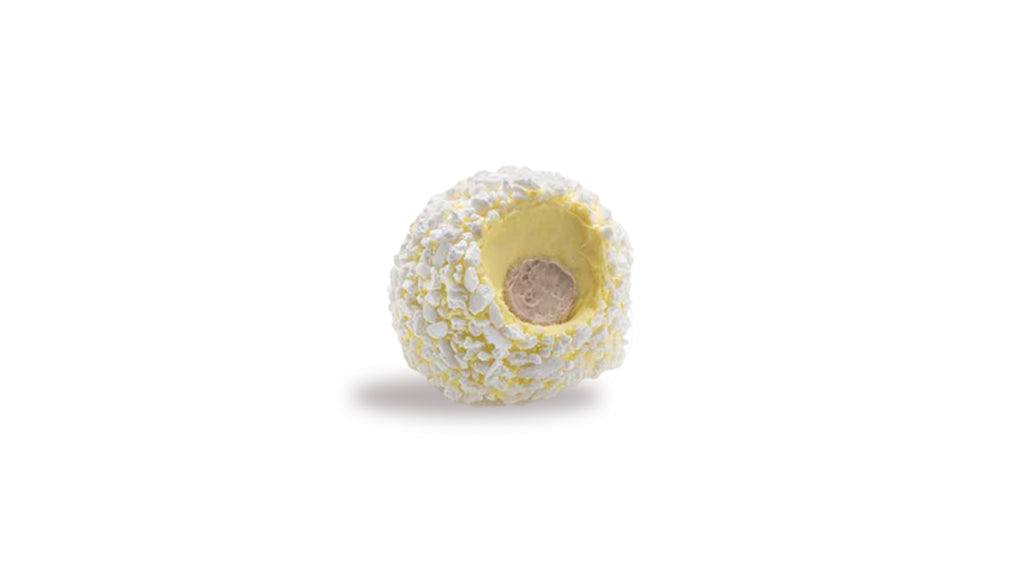 Tartufo bianco